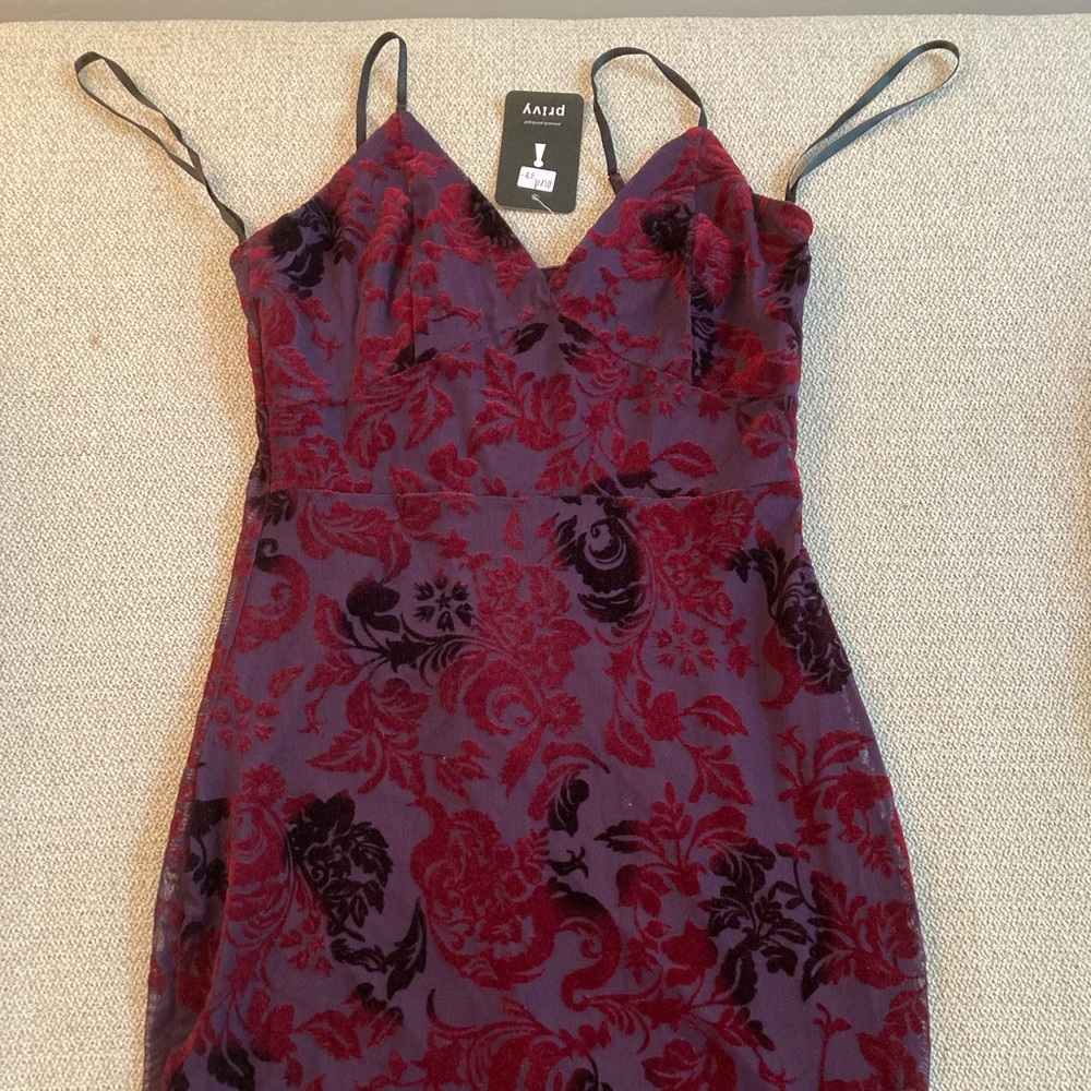 Velvety Privy Dress